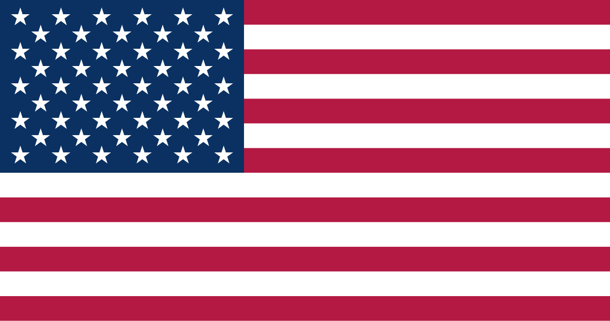 US, NEW YORK flag
