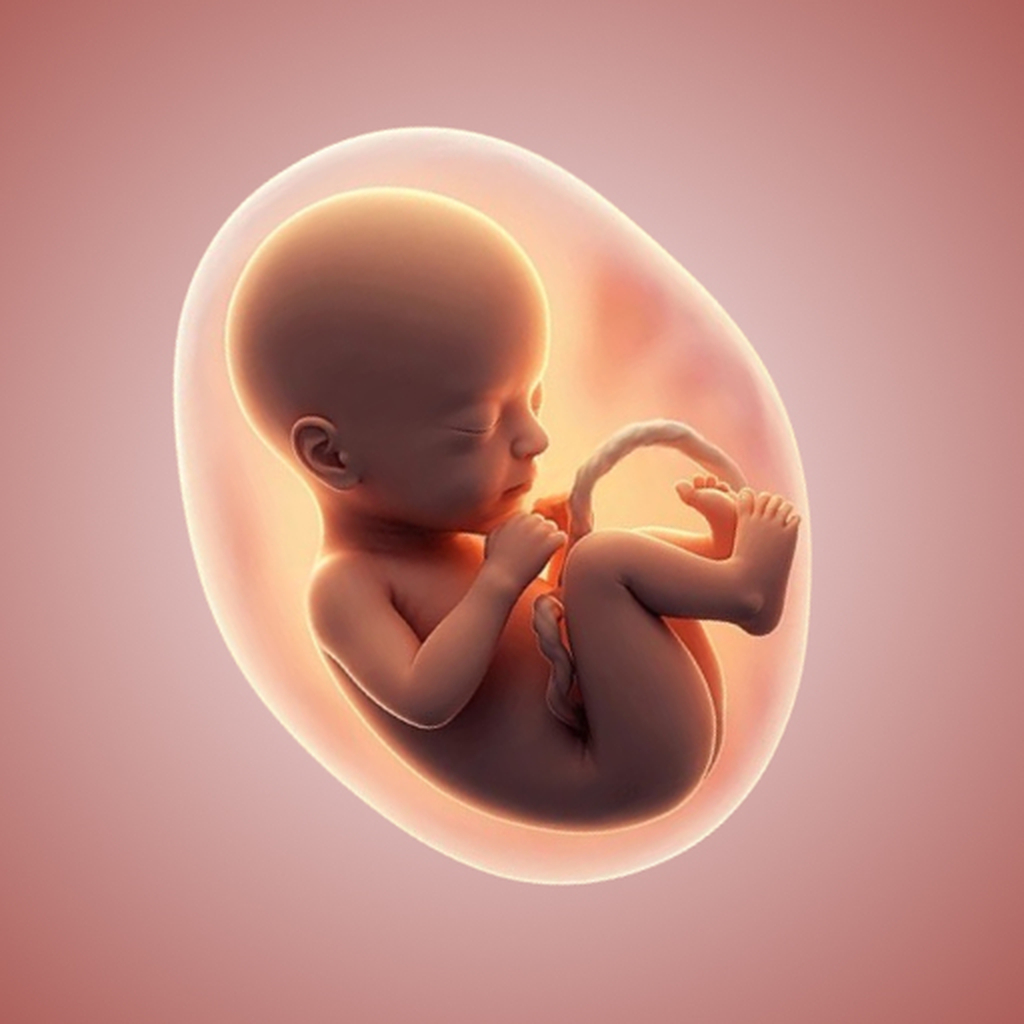 Pregnancy Tracker+