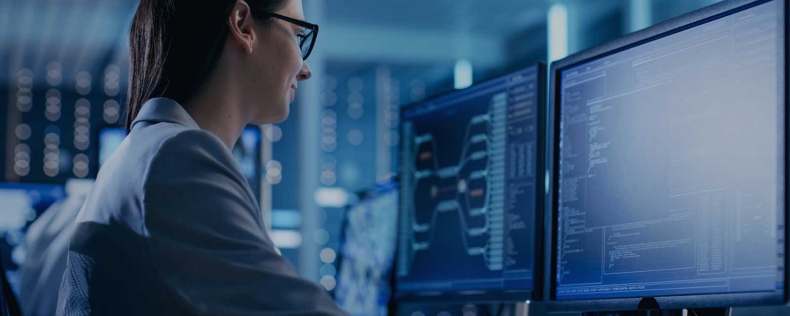 Application Support & Maintenance